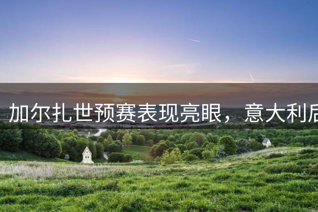 加尔扎世预赛表现亮眼，意大利后卫线引发热议